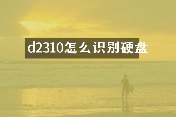 d2310怎么识别硬盘