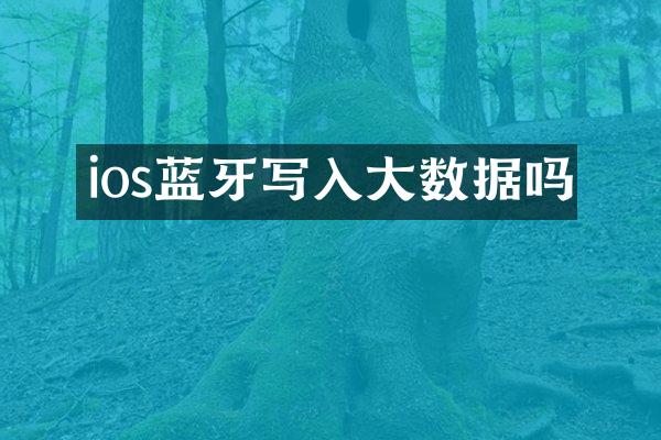 ios蓝牙写入大数据吗