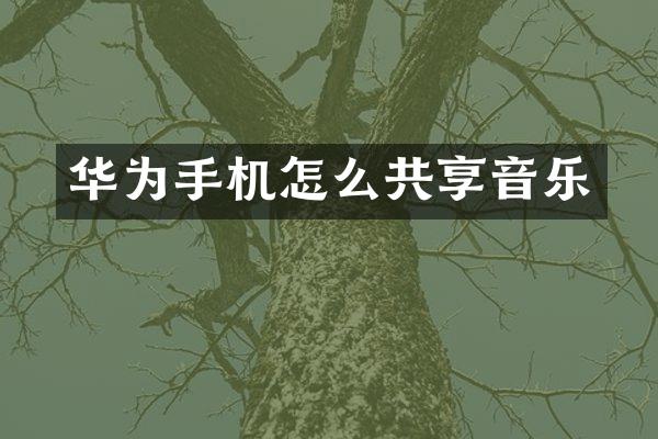华为手机怎么共享音乐
