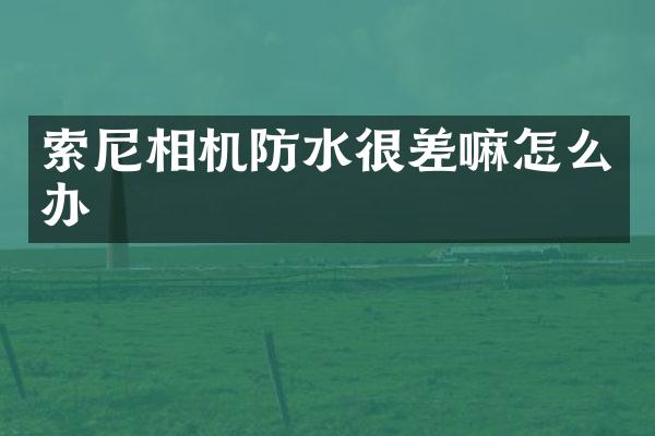 索尼相机防水很差嘛怎么办