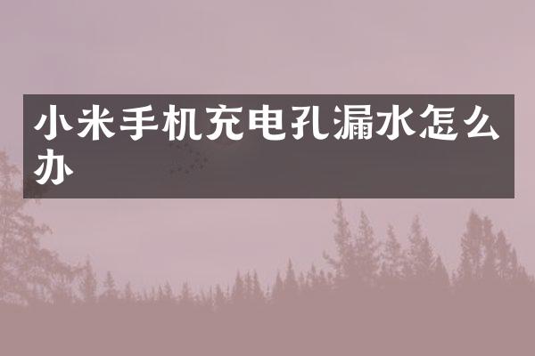 小米手机充电孔漏水怎么办