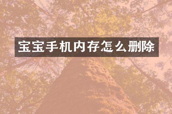 宝宝手机内存怎么删除