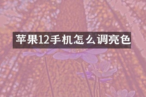 苹果12手机怎么调亮色