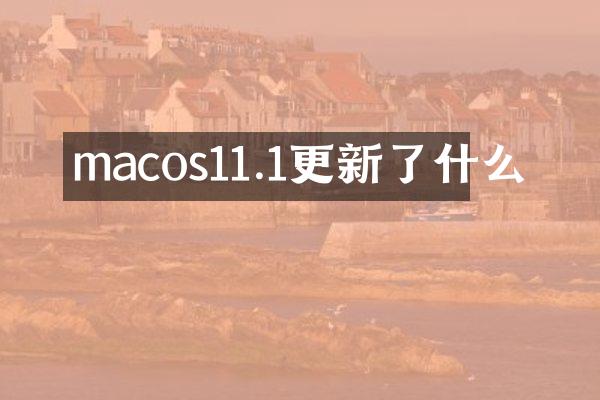 macos11.1更新了什么