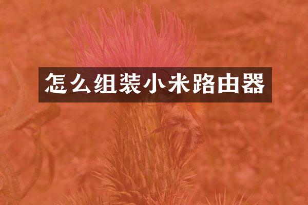怎么组装小米路由器