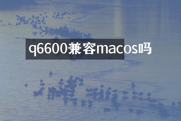q6600兼容macos吗