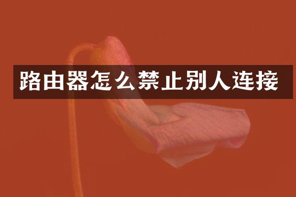 路由器怎么禁止别人连接