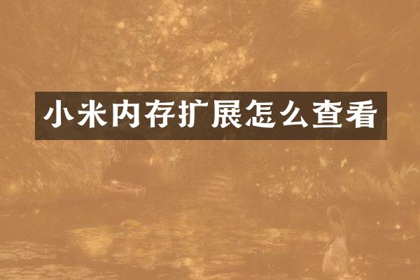 小米内存扩展怎么查看