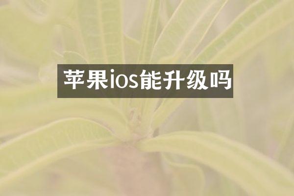 苹果ios能升级吗