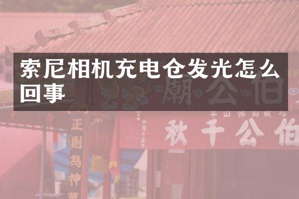 索尼相机充电仓发光怎么回事