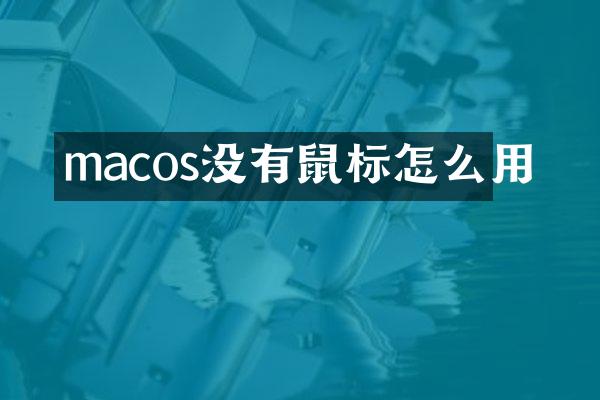 macos没有鼠标怎么用