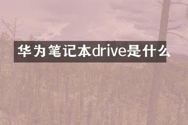 华为笔记本drive是什么