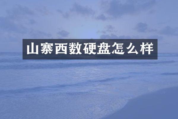 山寨西数硬盘怎么样