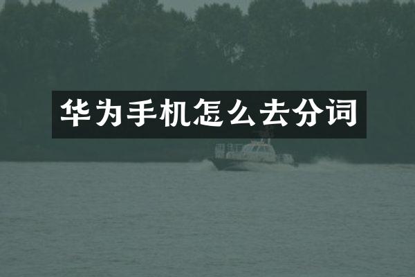 华为手机怎么去分词