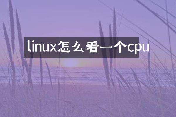 linux怎么看一个cpu