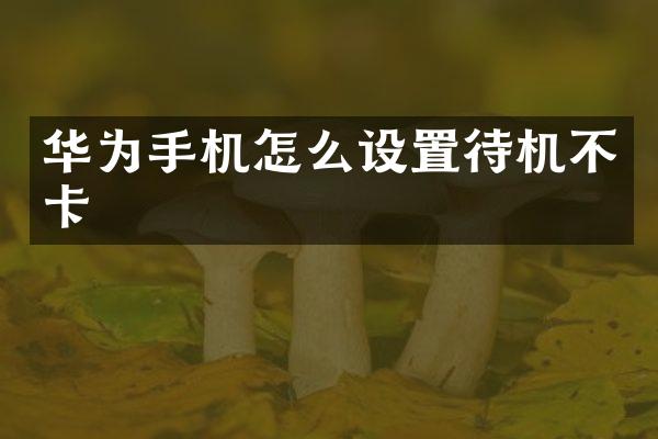 华为手机怎么设置待机不卡