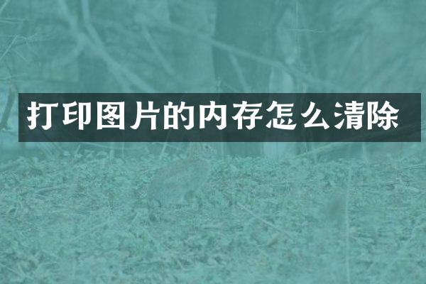 打印图片的内存怎么清除