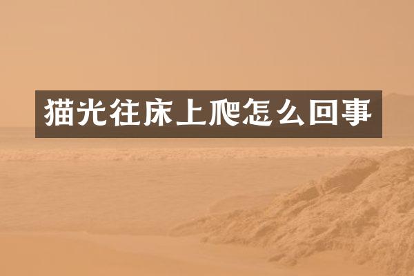 猫光往床上爬怎么回事