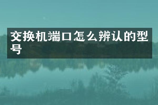 交换机端口怎么辨认的型号