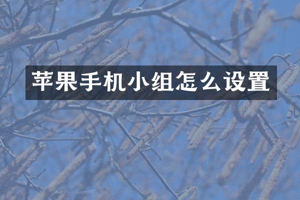 苹果手机小组怎么设置