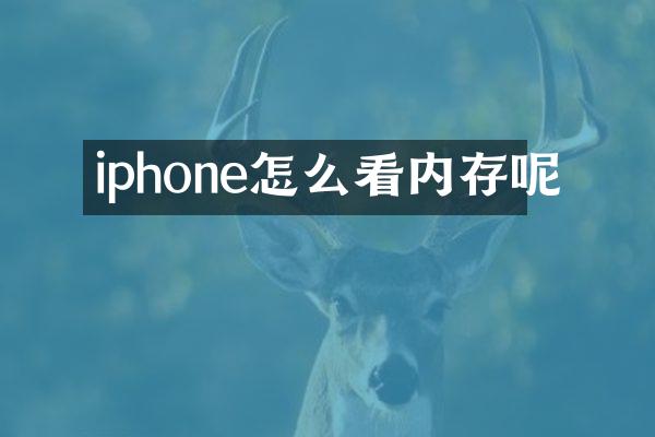 iphone怎么看内存呢