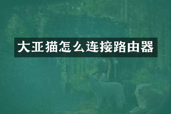 大亚猫怎么连接路由器