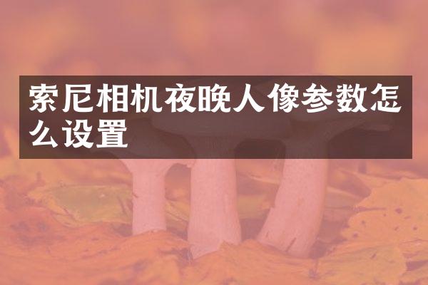 索尼相机夜晚人像参数怎么设置