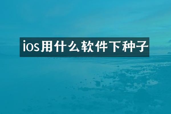 ios用什么软件下种子