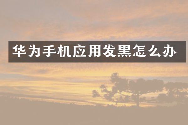 华为手机应用发黑怎么办