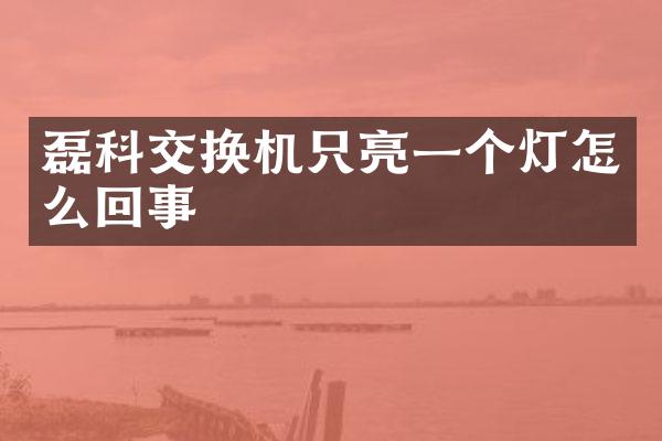 磊科交换机只亮一个灯怎么回事