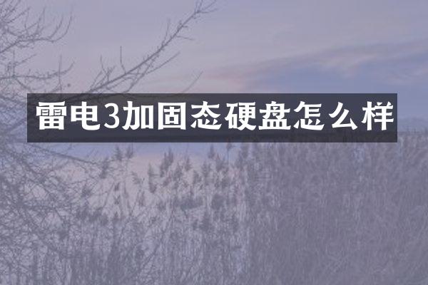 雷电3加固态硬盘怎么样