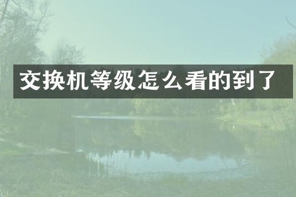 交换机等级怎么看的到了
