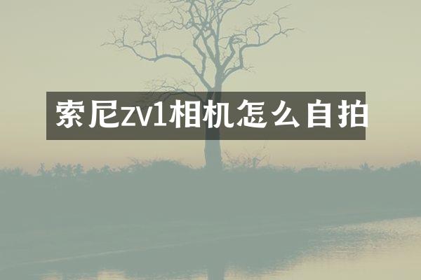 索尼zv1相机怎么自拍
