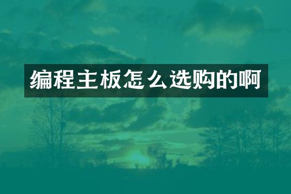 编程主板怎么选购的啊