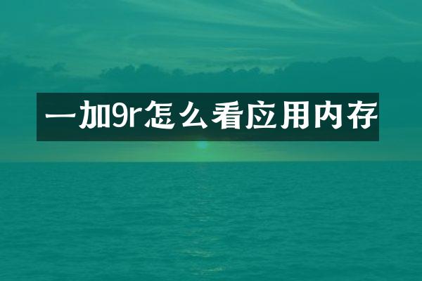 一加9r怎么看应用内存