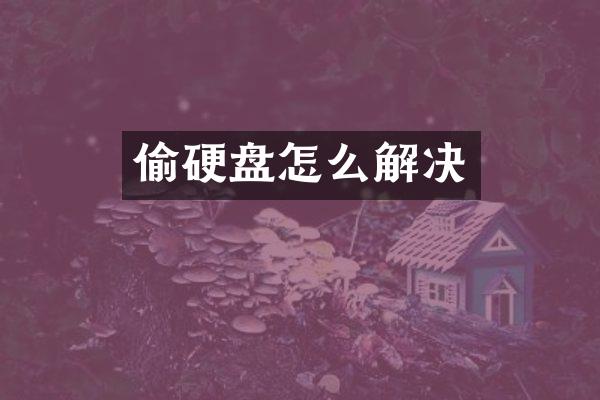 偷硬盘怎么解决