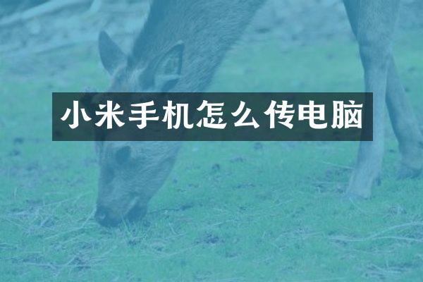 小米手机怎么传电脑
