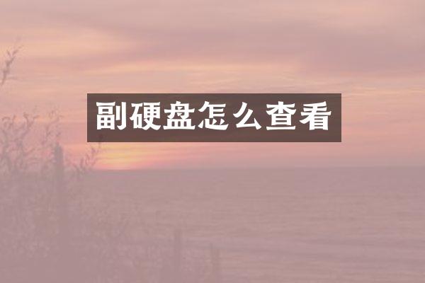 副硬盘怎么查看