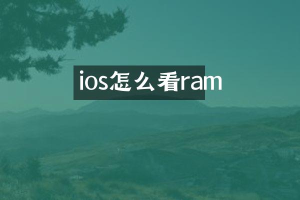 ios怎么看ram