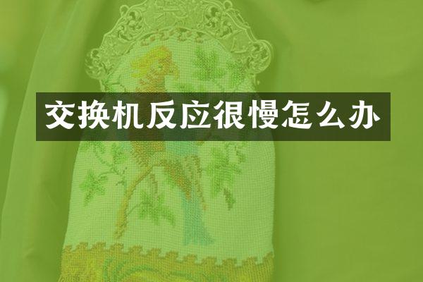 交换机反应很慢怎么办