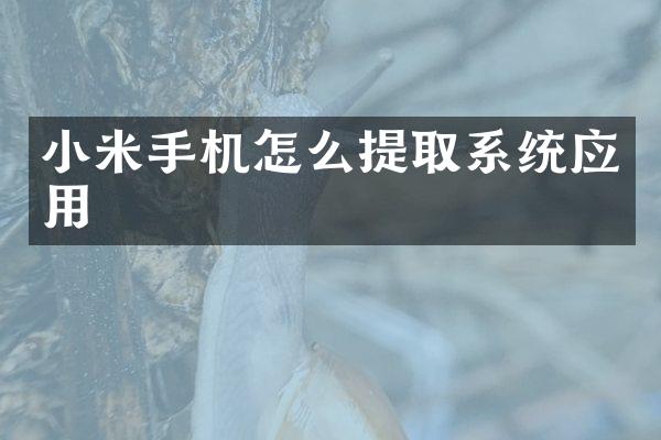小米手机怎么提取系统应用