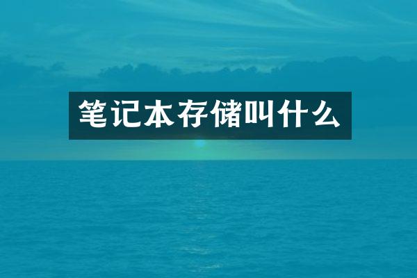 笔记本存储叫什么