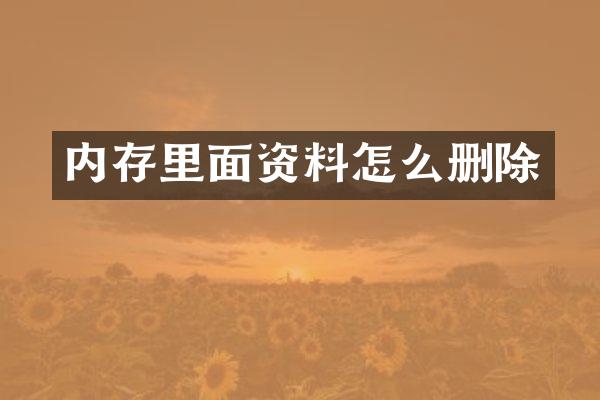 内存里面资料怎么删除