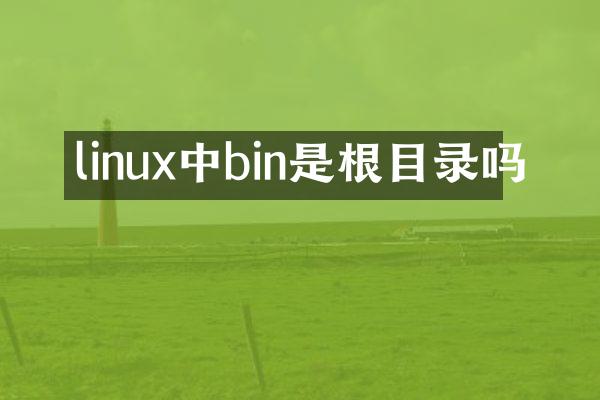 linux中bin是根目录吗