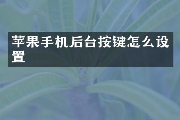 苹果手机后台按键怎么设置