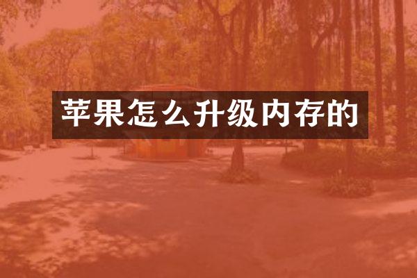 苹果怎么升级内存的