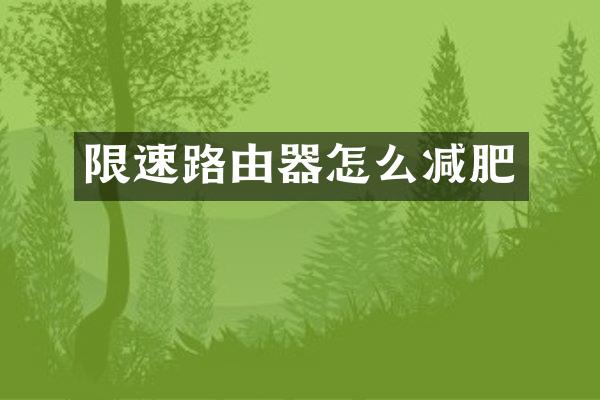限速路由器怎么减肥