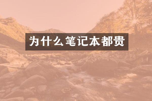 为什么笔记本都贵