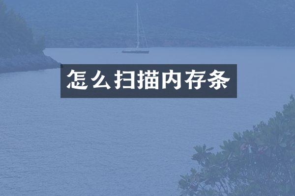 怎么扫描内存条