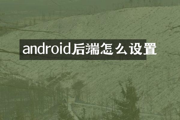 android后端怎么设置